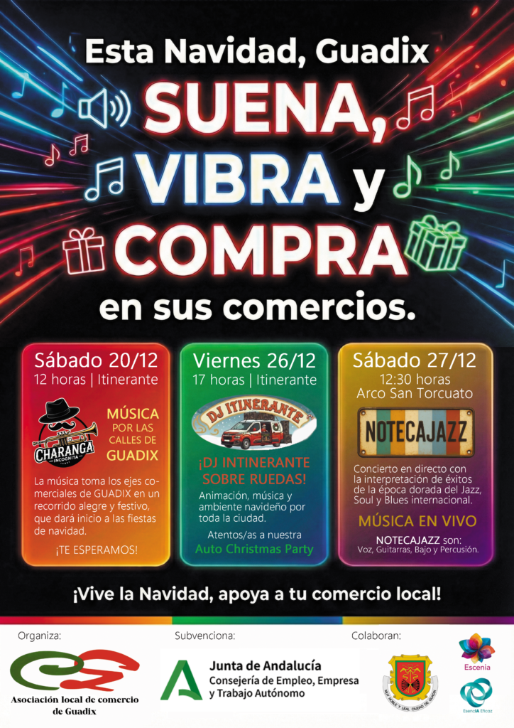 cartel dinaminación comercio guadix navidad 2025 ok